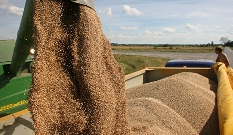Украинские аграрии с начала 2017-2018 маркетингового года (МГ, июль 2017 - июнь 2018) по состоянию на 30 августа экспортировали 5,8 миллиона тонн зерновых. 