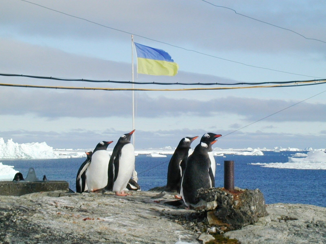 К празднованию Дня вышиванки в 2018 году присоединятся украинские полярники с антарктической станции "Академик Вернадский". 