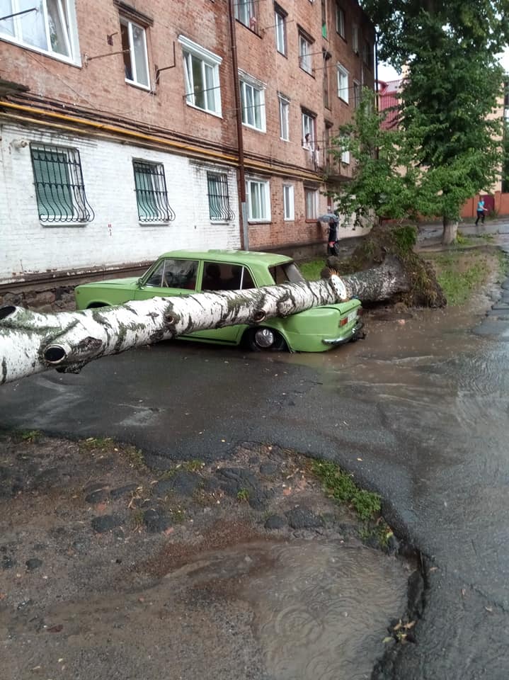 Сегодня, 17 июня, в Виннице прошел мощный ливень. Из-за непогоды затопило дороги и повалены деревья. 