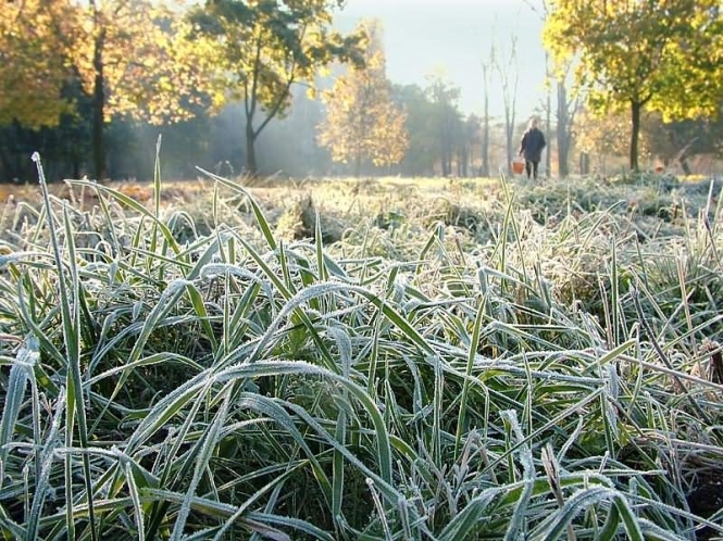 Государственная служба по чрезвычайным ситуациям предупреждает, что в ночь с 30 сентября на 1 октября в Украине ожидаются заморозки. 