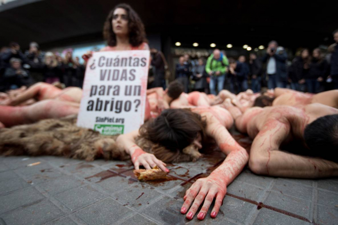 В Барселоне 16 декабря зоозащитники и другие активисты, которые выступают за защиту прав животных, провели символическую акцию в знак протеста против использования меха и кожи. Демонстранты разделись и облили себя искусственной кровью 