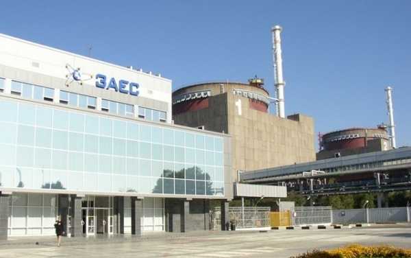 Запорожская АЭС в ходе торгов в системе ProZorro указала в спецификации окон, которые планировала покупать, уже готовое предложение от компании ООО "Сакура-Техно". 
