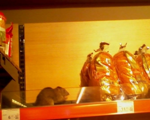 
    Крыса ела хлеб на прилавке в одном из столичных супермаркетов 