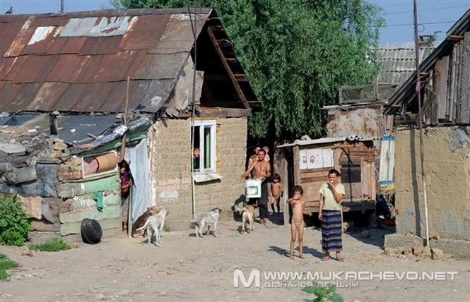 Жители села Лощиновка Измаильского района Одесской области разгромили несколько домов представителей цыганского меньшинства после того, как мужчину цыганской национальности обвинили в убийстве 8-летней девочки. 