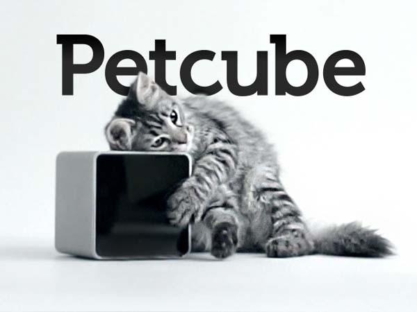 Для сбора 200 тысяч долларов на Kickstarter украинскому стартапу Petcube понадобилось 15 дней. 