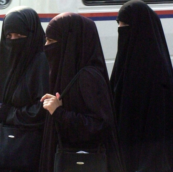 Нижняя палата парламента Швейцарии приняла решение о запрете носить паранджу - элемент одежды мусульманок, полностью закрывающей лицо. 