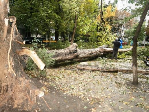 Коммунальные службы Одессы продолжают работы по ликвидации последствий непогоды, обрушившейся на город 12 октября. 