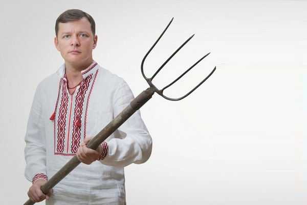 Глава фракции Радикальной партии в Верховной Раде Олег Ляшко заполнил электронную декларацию. 