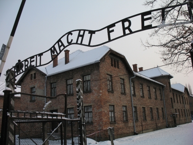 Урсула Хавербек, 88-летняя гражданка Германии в понедельник, 21 ноября, была приговорена к двум с половиной годам тюремного заключения за разжигание национальной вражды и отрицание Холокоста. 