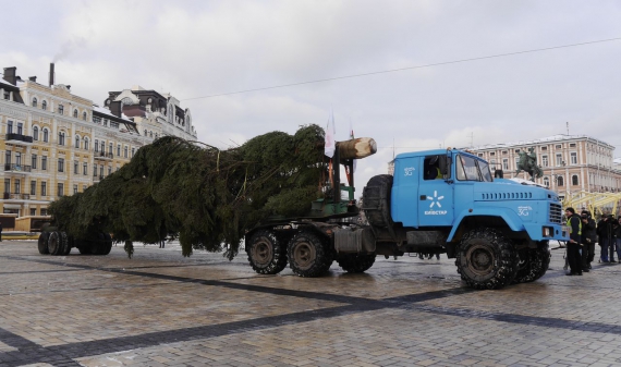 
    В Киев привезли главную елку страны9 