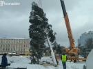 
    В столице установили новогоднюю елку3 