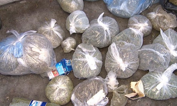 В Гнивани Винницкой области у мужчины изъяли почти 60 кг различных наркотических средств. 