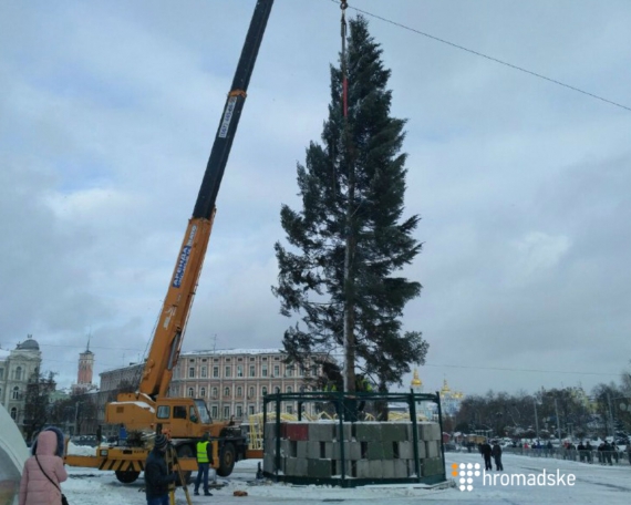 
    В столице установили новогоднюю елку3 