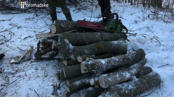 В отопительный сезон, когда в Украине большой спрос на дрова, на Николаевщине продолжается незаконная вырубка деревьев как по городу, так и в области. И, в то же время, начальник Госэкоинспекции региона, ответственный за контроль вырубки древесины, уничтожая многолетние деревья, построил себе имение в сосновом лесу. 