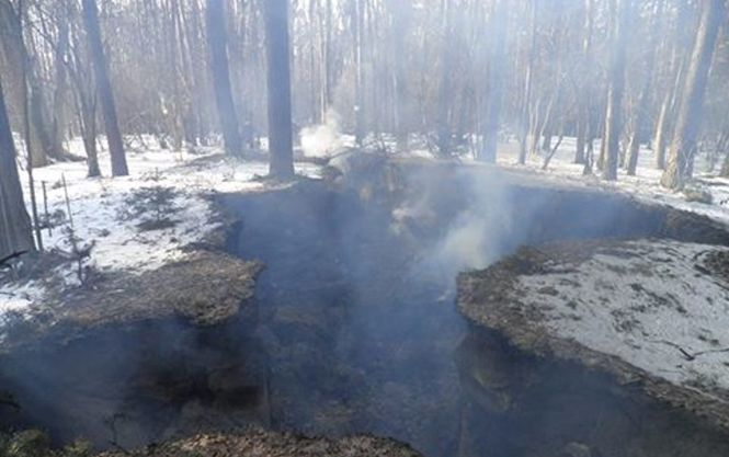 В ночь на 2 января в с. Басивка Пустомытовского района Львовщины сгорел музей Крыивка подпольной типографии УПА. 