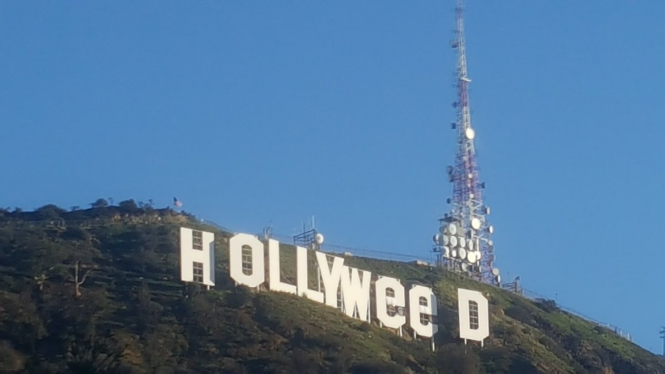В новогоднюю ночь в Лос-Анджелесе неизвестный изменил голливудский знак на надпись Hollyweed. 