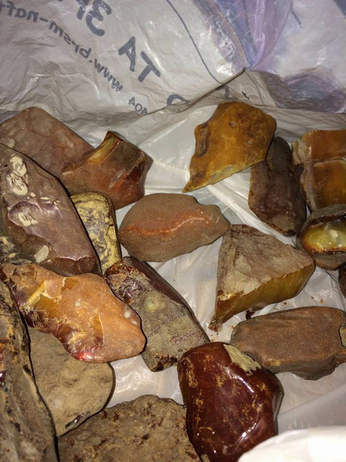 Во время обысков по делу о стрельбе в Олевске Житомирской области нашли 0,5 тонны янтаря и оружие. 