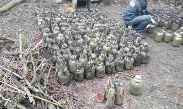 У жителя Городенковского района Ивано-Франковской области обнаружили 200 кг марихуаны. 