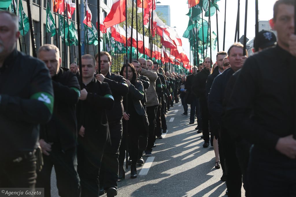 Сотрудники польских правоохранительных органов жорсотко покалечили протестующих против марша ультраправой организации Obóz Narodowo-Radykalny, состоявшийся 29 апреля в Варшаве. 