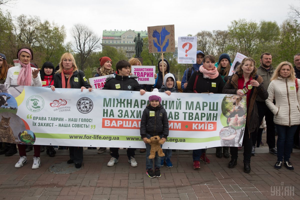В центре Киева прошел марш в защиту прав животных, инициаторы и участники которого призывают власти усилить ответственность за жестокое обращение с животными, а также ограничить их использование с развлекательной целью. 