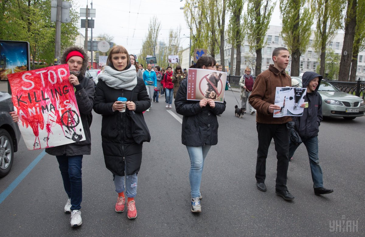 В центре Киева прошел марш в защиту прав животных, инициаторы и участники которого призывают власти усилить ответственность за жестокое обращение с животными, а также ограничить их использование с развлекательной целью. 