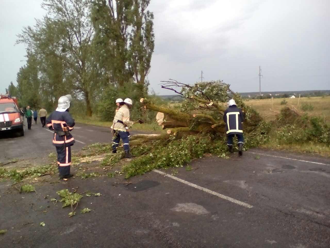 Из-за сильных порывов ветра в Млиновском районе вблизи села Острожец большие стволы деревьев завалили 11 километров автодороги. 