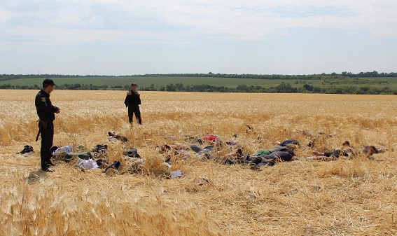 Жители села Бережинка в Кировоградской области отбили атаку рейдеров на местную ферму. 