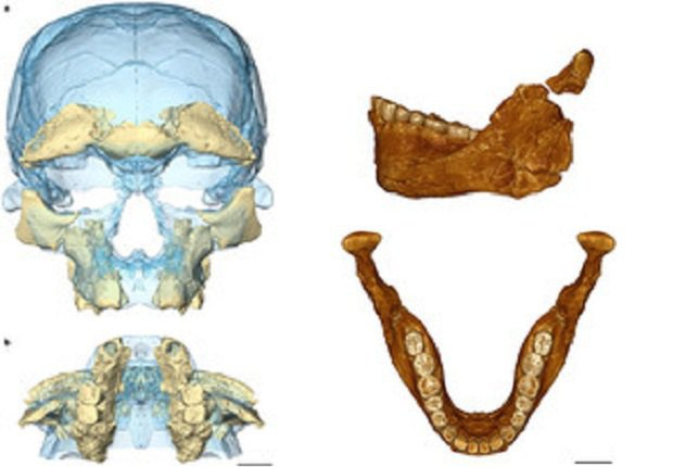 Ученые института эволюционной антропологии Макса Планка обнаружили в Марокко останки людей и инструменты, которыми они пользовались, которые оказались на 100 тыс. лет старше от всех известных останков Homo Sapiens. 