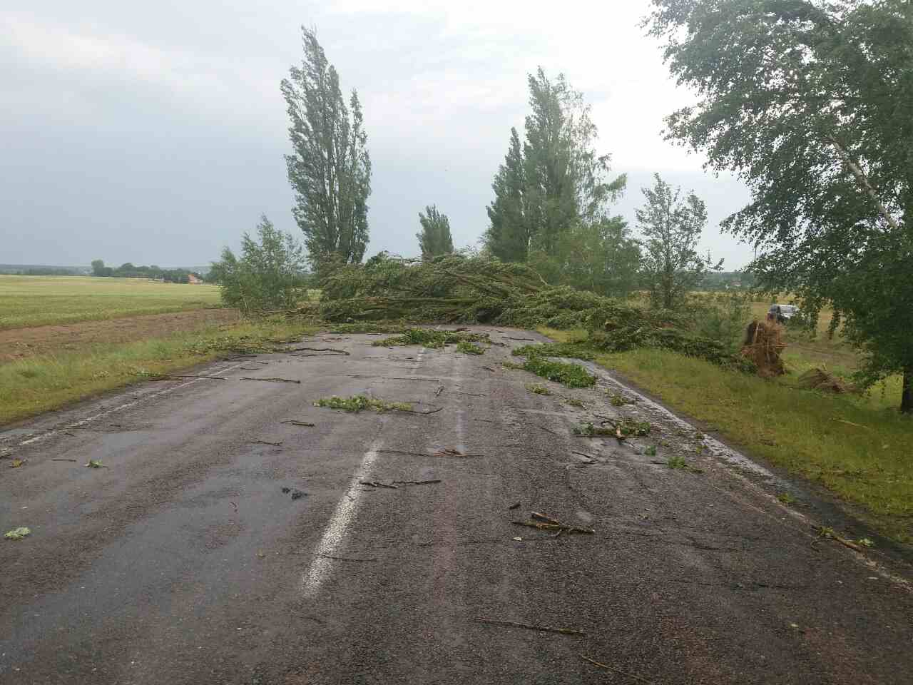 Из-за сильных порывов ветра в Млиновском районе вблизи села Острожец большие стволы деревьев завалили 11 километров автодороги. 