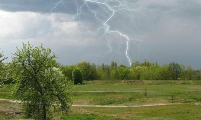 В селе Поступель Волынской области в результате попадания молнии погибли двое детей - 12 и 15 лет. 