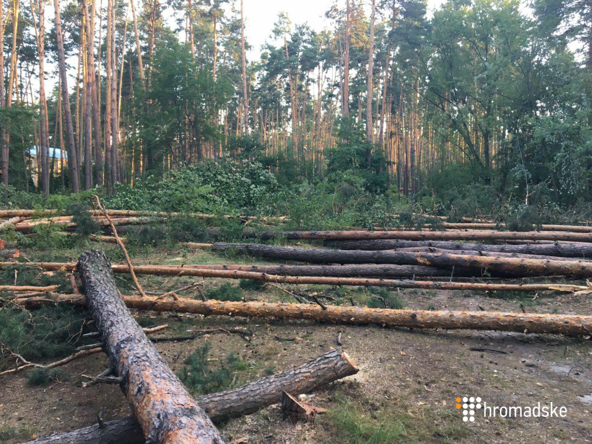 В поселке Днепровская водная станция (Водопровод) Оболонского района Киева произошло столкновение между местными жителями и лицами, вырубали лес вблизи жилых домов. 