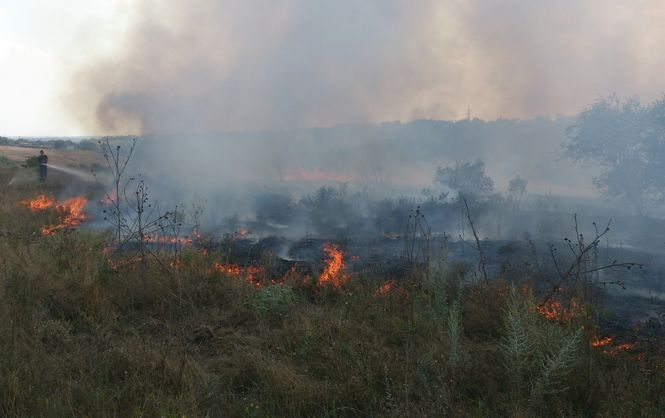 В субботу, 5 августа, в Николаевской области было зарегистрировано 43 пожара 