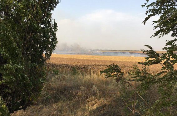 Пожар на складе боеприпасов в селе Новоянисоль под Мариуполем по предварительным данным мог возникнуть из-за умышленного поджога травы на соседнем поле. 