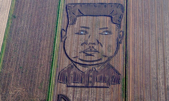 Итальянский художник Дарио Гамбарин на тракторе изобразил на поле под итальянской Вероной двухсотметровый портрет северокорейского лидера Ким Чен Ына с надписью "Опасность" на английском языке. 