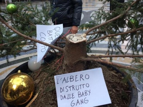 В одном из самых известных торговых центров Неаполя (Италия) похитили рождественскую елку всего через сутки после того, как ее торжественно открыли. 
