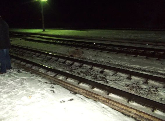 В Ровенской области под поезд попали двое людей: женщина от полученных травм погибла на месте, а ее сын получил травму. 