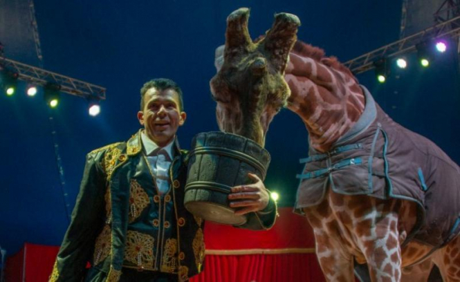 Сегодня, 25 января, на сессии горсовета проголосовали за запрет размещения в городе цирков с животными и зверинцев. Проект решения поддержали 32 городских избранника. 