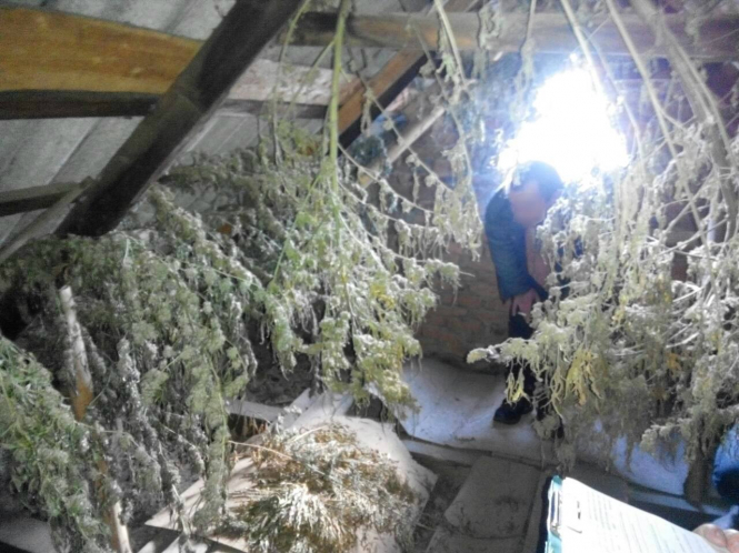 В городе Иршава Закарпатской области полиция обнаружила на чердаке в доме мужа наркотики. 