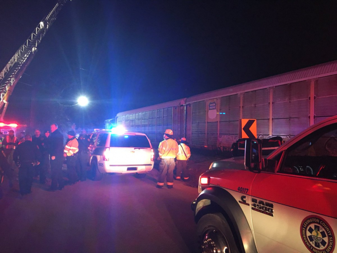 Пассажирский поезд компании Amtrak столкнулся с грузовым поездом в американском штате Южная Каролина, два человека погибли. 
