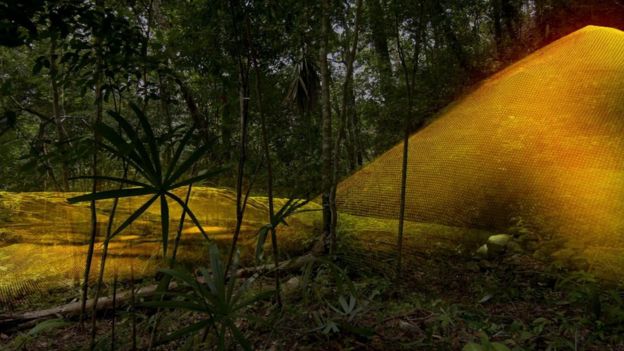 Археологи обнаружили в джунглях Гватемалы руины более 60 000 зданий цивилизации майя. Открытие было сделано с помощью лазерной технологии, способной выявить сведены человеком структуры под густым пологом тропических лесов. 