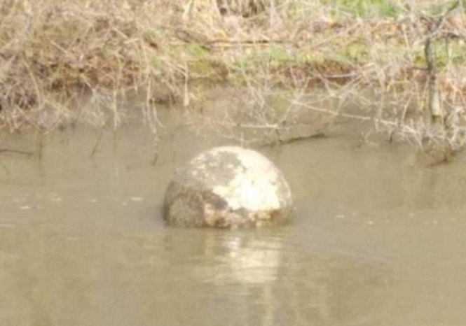 В районе Измаила подъем воды в Дунае поднял со дна реки и пригнал к берегу мину весом почти в полтонны. 