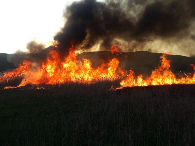 В воскресенье и понедельник в ряде регионов Украины, преимущественно на западе, ожидается чрезвычайный уровень пожарной опасности, во всех остальных - высокий. 