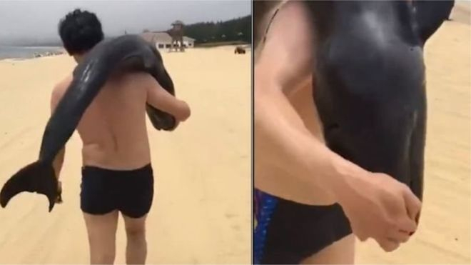 Китайские власти ищут мужчину, который похитил дельфина на пляже в провинции Гуандун. 