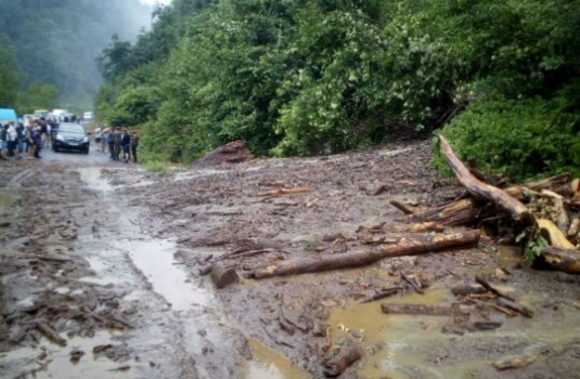 В субботу, 26 мая, после 16:00 вблизи с. Деловое сошел оползень, в результате чего была перекрыта трасса национального значения Мукачево - Рогатин. 