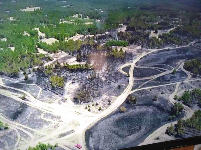 Пожар на территории Алешковского лесоохотничьего хозяйства в Херсонской области, возникшей 28 мая, по состоянию на утро 2 июня ликвидировали. 