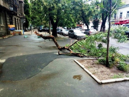 В ночь на пятницу, 27 июля, на Одессу обрушился сильный ливень. В результате некоторые улицы были затоплены. 