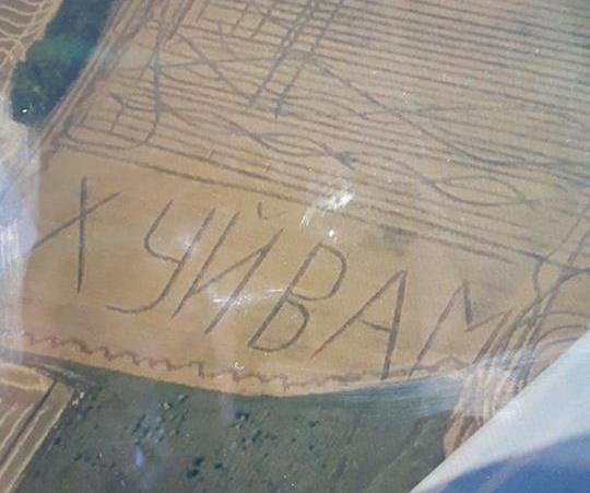 Фермер выкосил нецензурщину надпись на поле рядом с деревней Войничево в Захаровская районе Одесской области. 