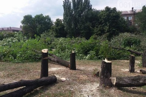 Подрядчики фирмы "Ленд Дивелопмент" вырубили последние деревья в сквере Яланского в Запорожье - на участке от проспекта Соборного до здания цирка. Таким образом было завершено уничтожение сквера, начавшееся еще в июле. 