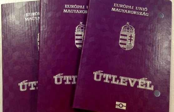 Пять граждан Украины занесли в базу проекта "Миротворец" за незаконное получение венгерских паспортов. 