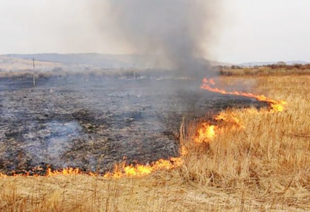 1 сентября в 13:00 вблизи поселков Гатище и Огурцово Волчанского района на территории Октябрьского лесничества Волчанского лесхоза загорелись две ячейки лесной подстилки. 